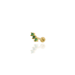 Cartilage  Green  Climber Small